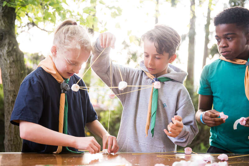 cubs_model_making__s__1
