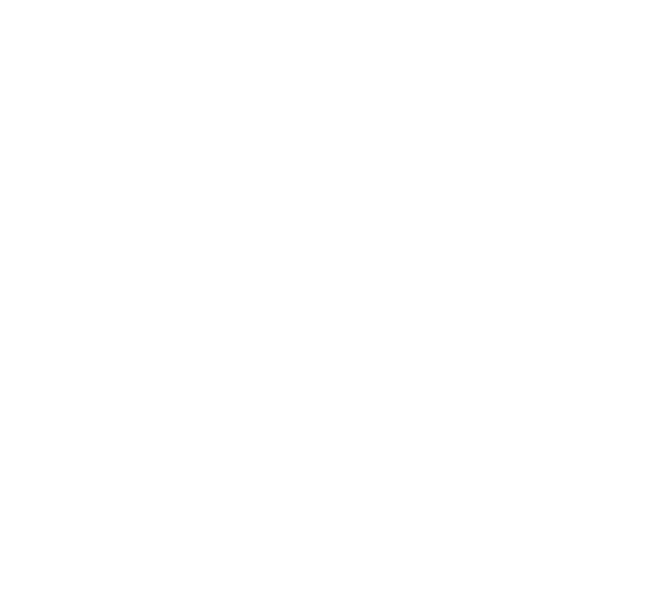 Scouts Fleur de Lis (white)